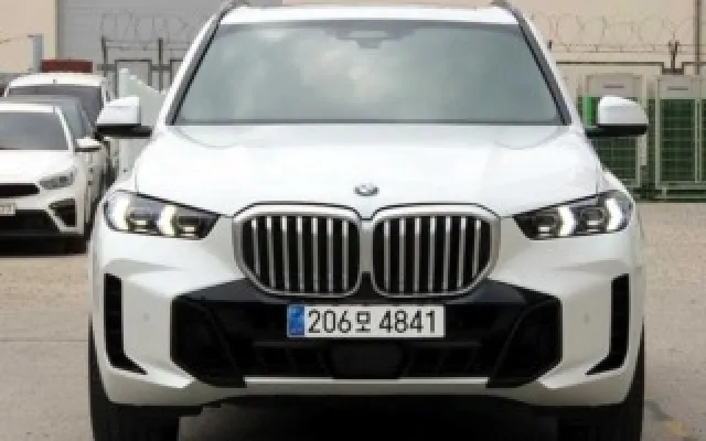 X5 (G05) xDrive 30d M 스포츠